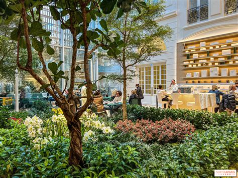 the cafe dior paris.